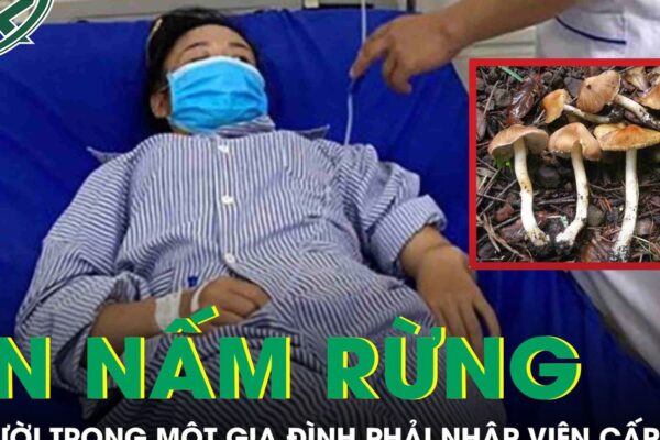Ăn nấm rừng, 4 người trong một gia đình phải nhập viện cấp cứu