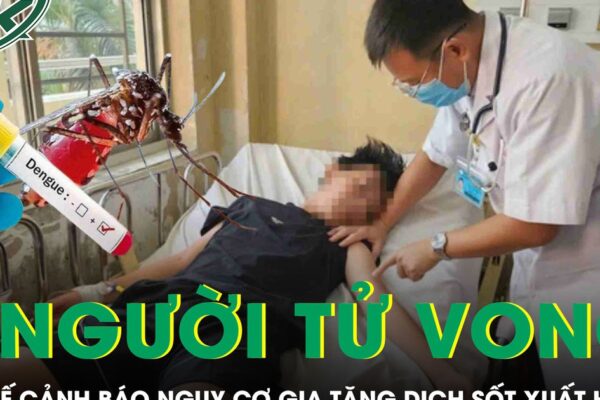 5 người tử vong vì sốt xuất huyết, Bộ Y tế lên tiếng cảnh báo