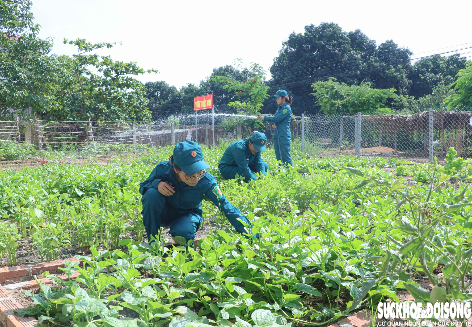 Những 'bóng hồng sao vuông' giỏi thao trường, đảm việc bếp núc- Ảnh 5.