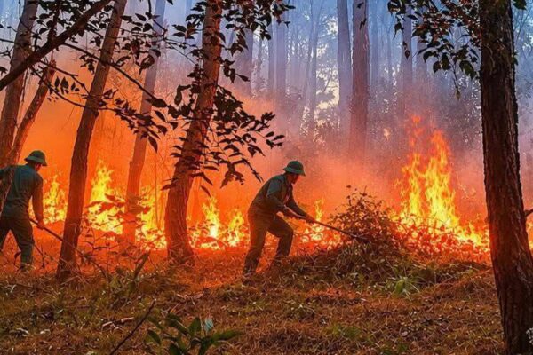 Liên tiếp 2 vụ cháy rừng, nhà dân ở Huế
