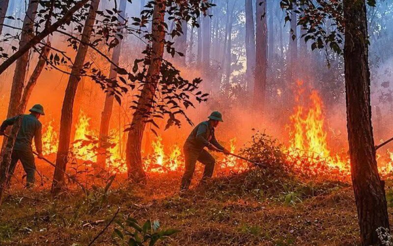 Liên tiếp 2 vụ cháy rừng, nhà dân ở Huế
