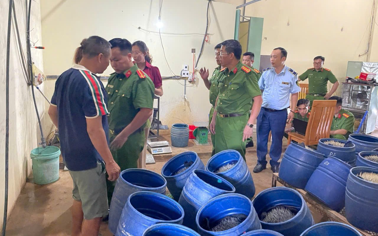 Sử dụng chất cấm để sản xuất giá đỗ, gã đàn ông bị khởi tố - Ảnh 2.