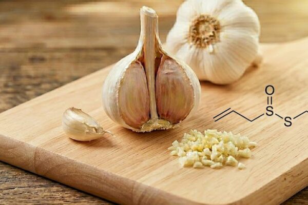 Ăn tỏi đúng cách để kích hoạt hợp chất ngăn ngừa ung thư